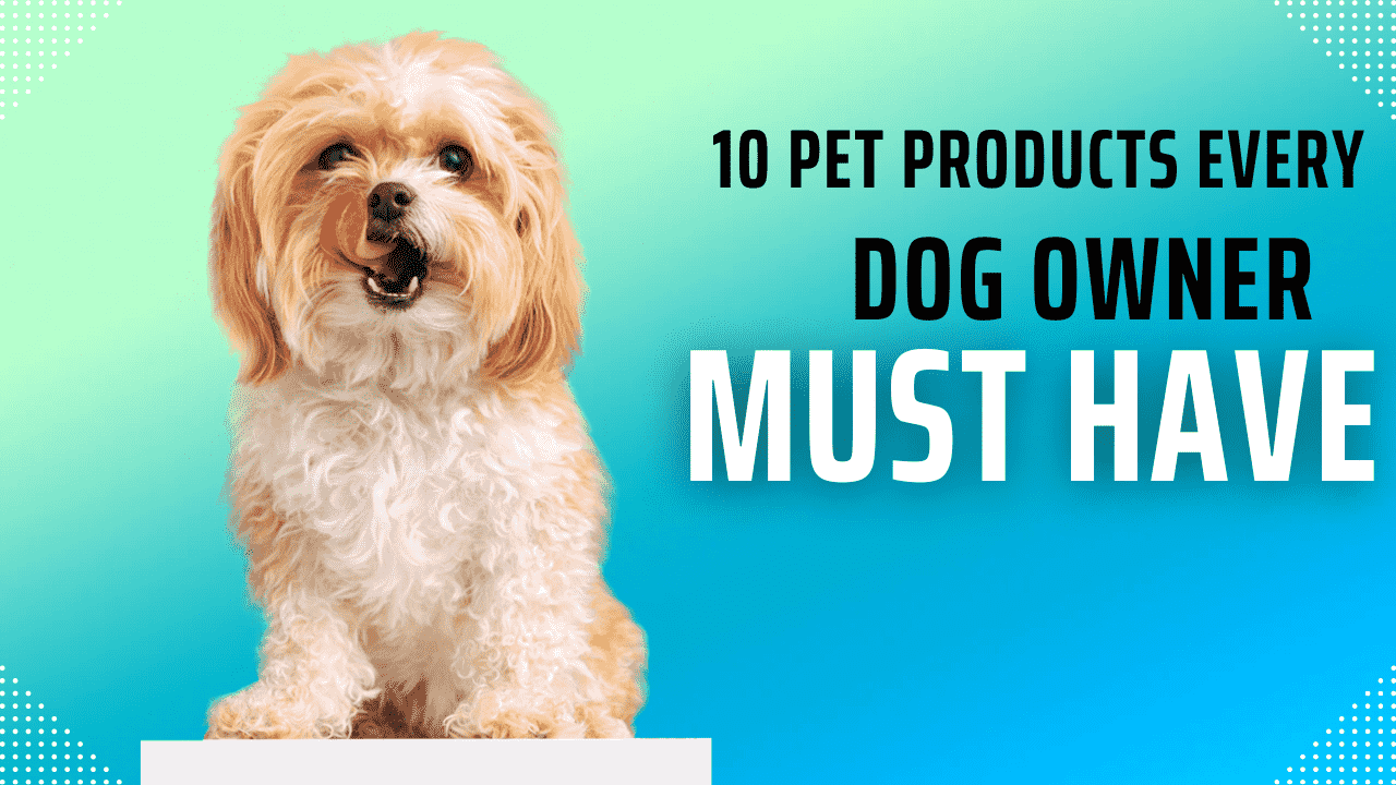 10 Pet Products Every Dog Owner Must Have in 2024