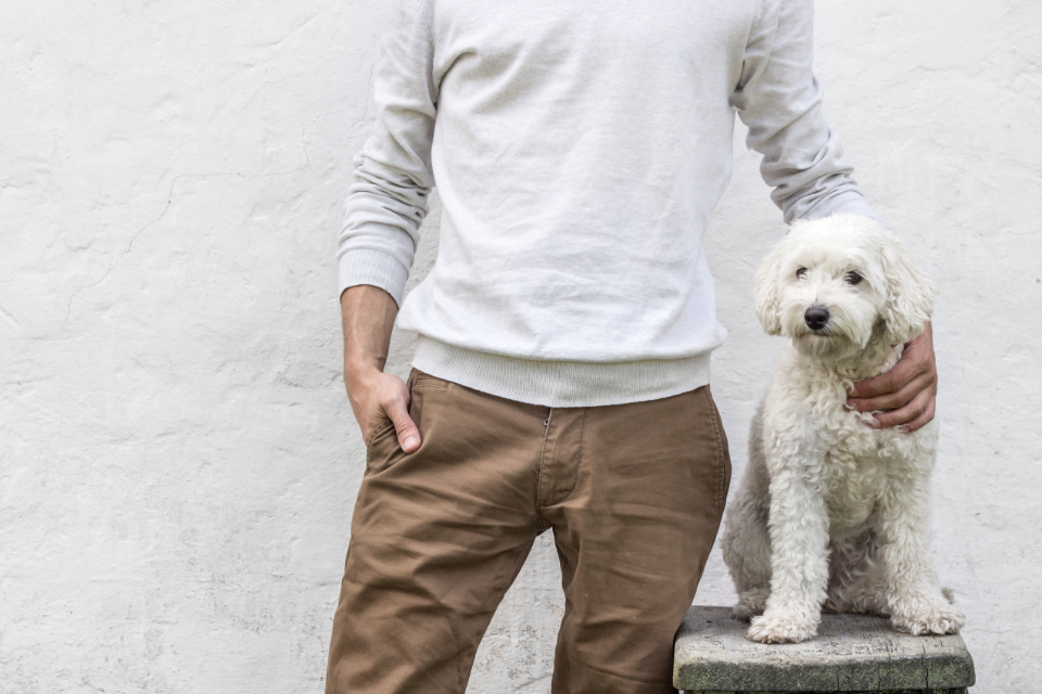 Build confidence in a fear aggressive dog Build confidence in a fear aggressive dog