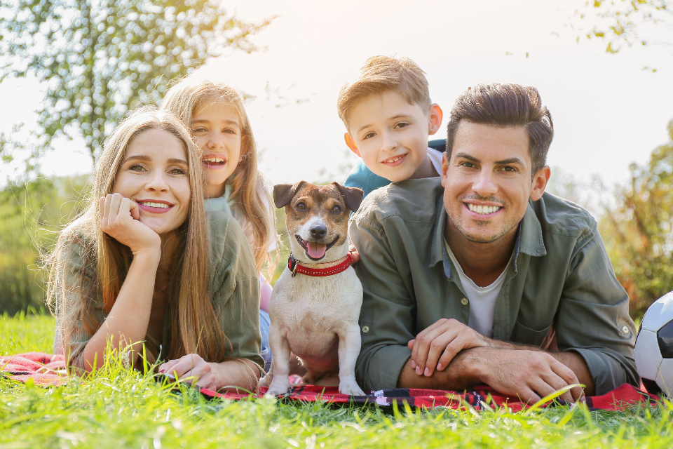 how to build Dog confidence how to build Dog confidence